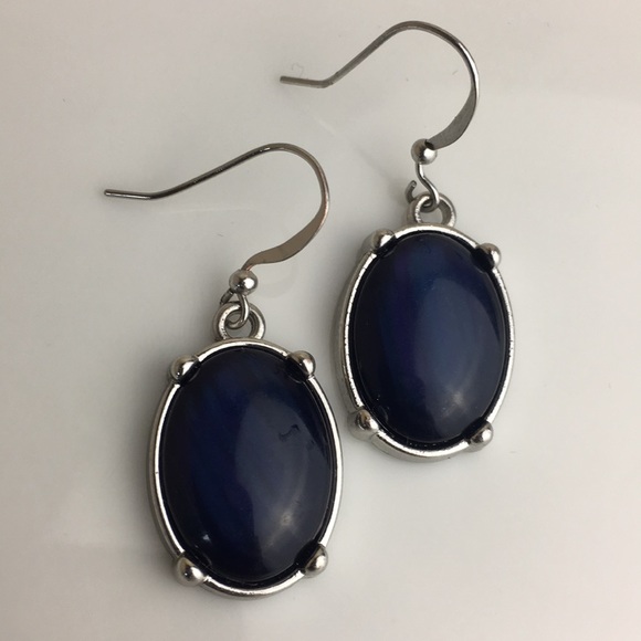 Fashion Jewelry Jewelry - Silver and navy blue dangle oval earrings